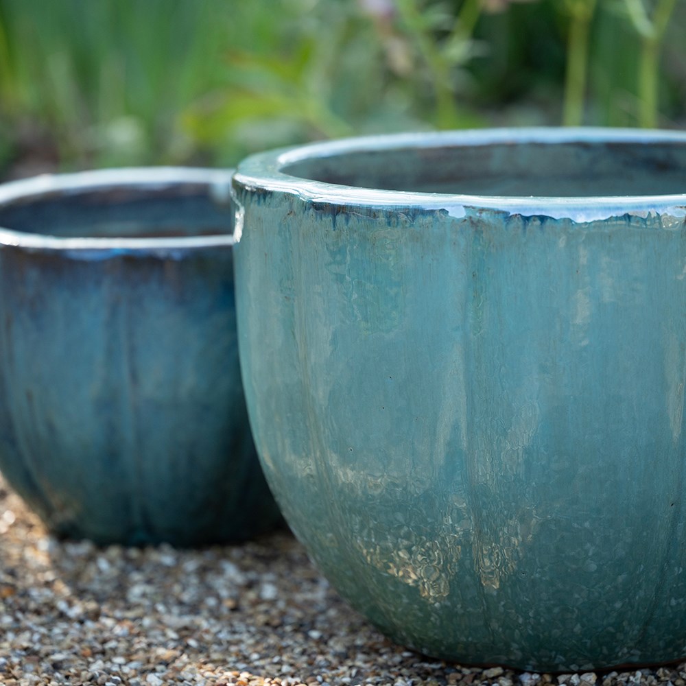 Barnacle planter - reef blue