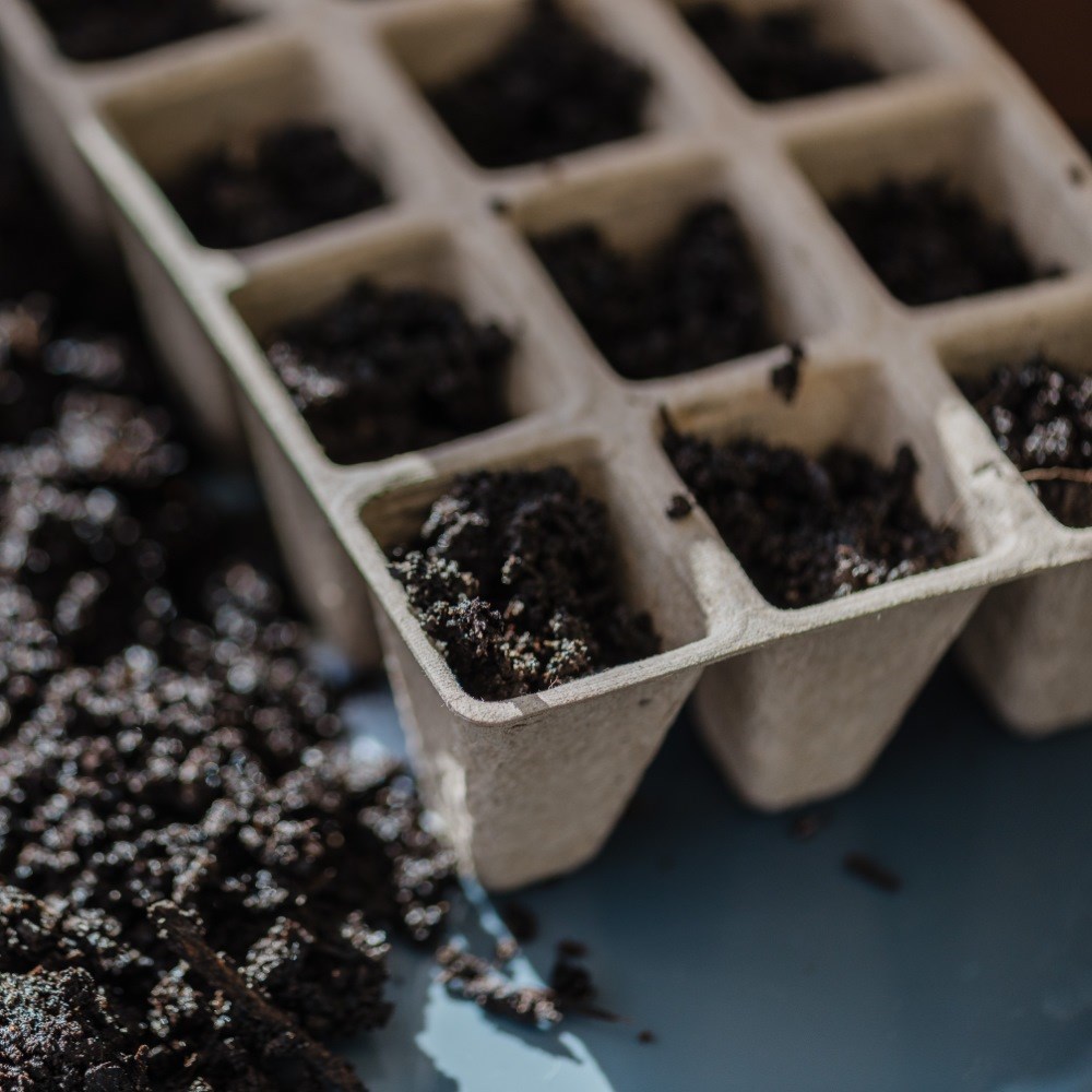 Fibre seed tray - set of 3