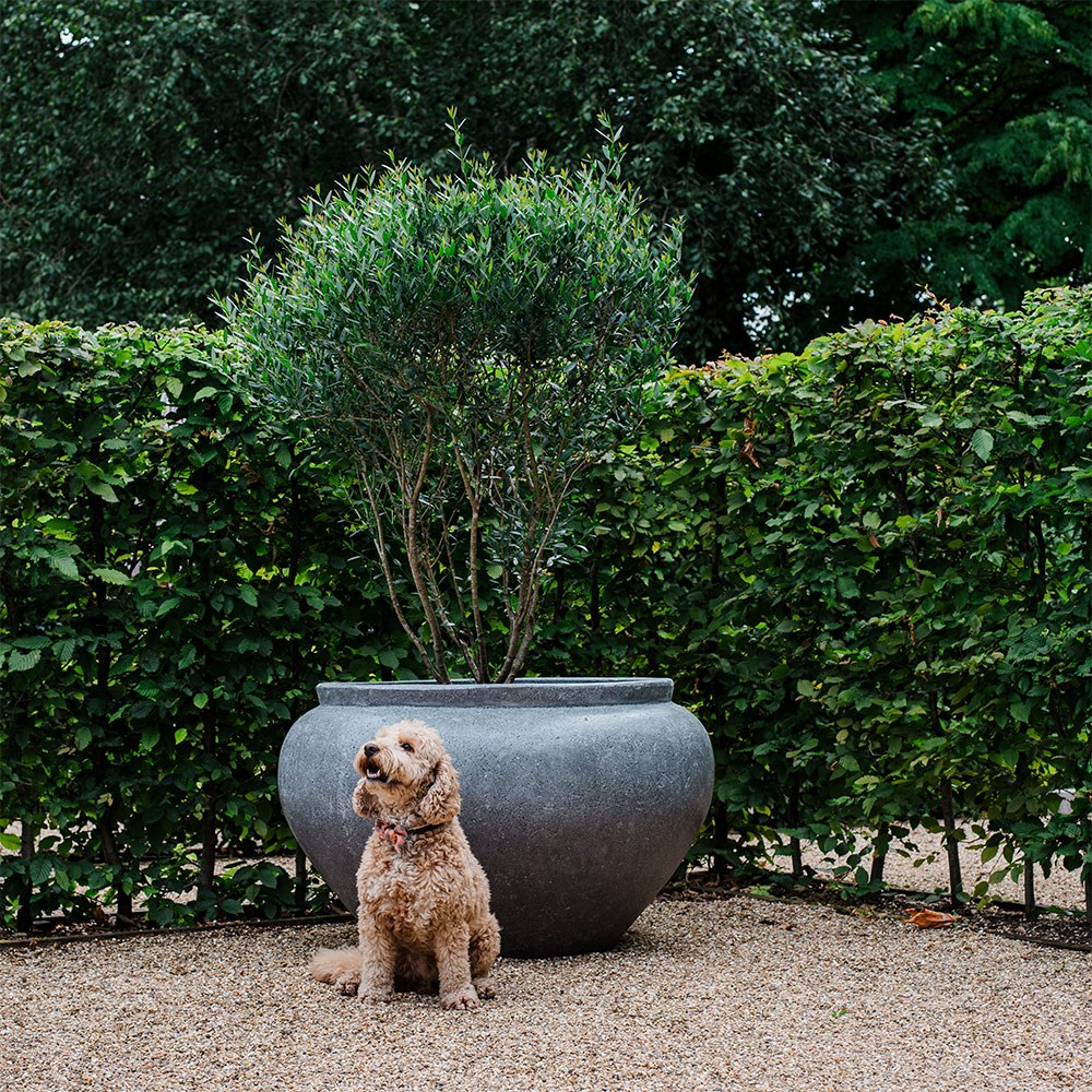 Extra large vase planter - grey