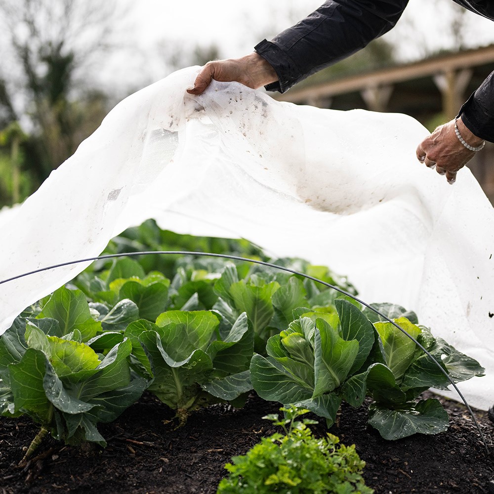 Insectonet plastic free insect netting