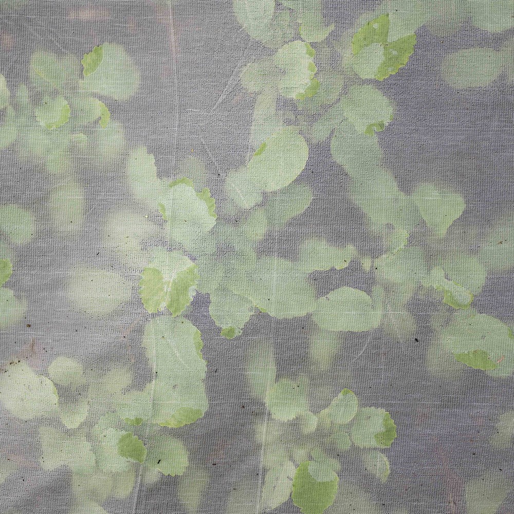 Insectonet plastic free insect netting