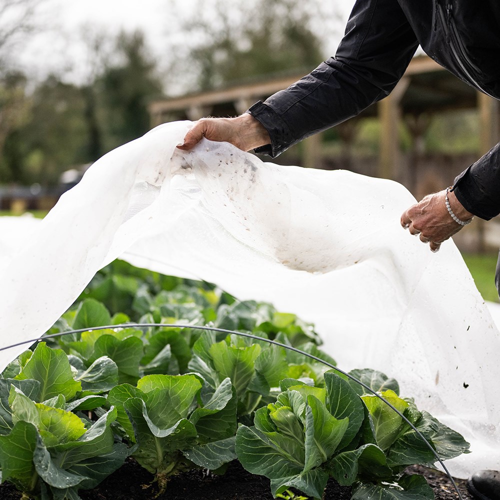 Insectonet plastic free insect netting