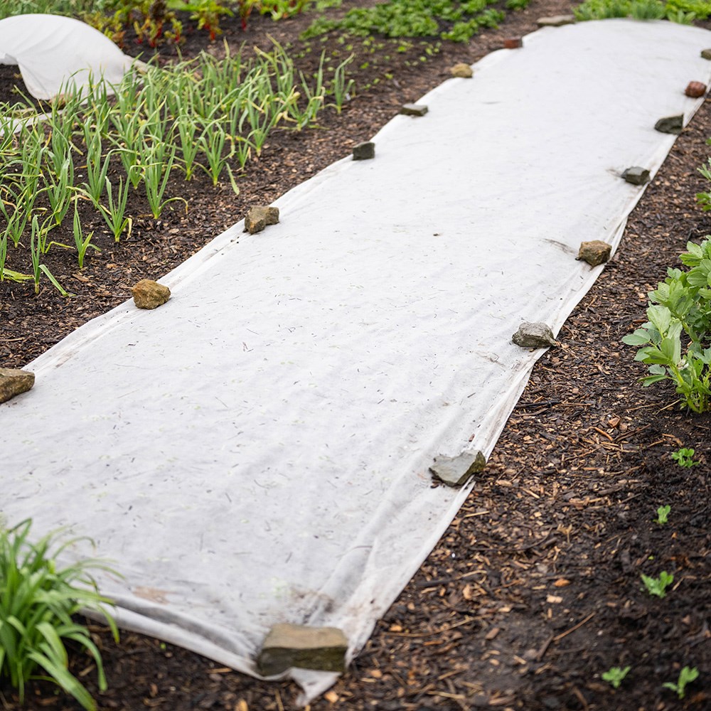 Biofleece plastic free plant fleece - 30gsm