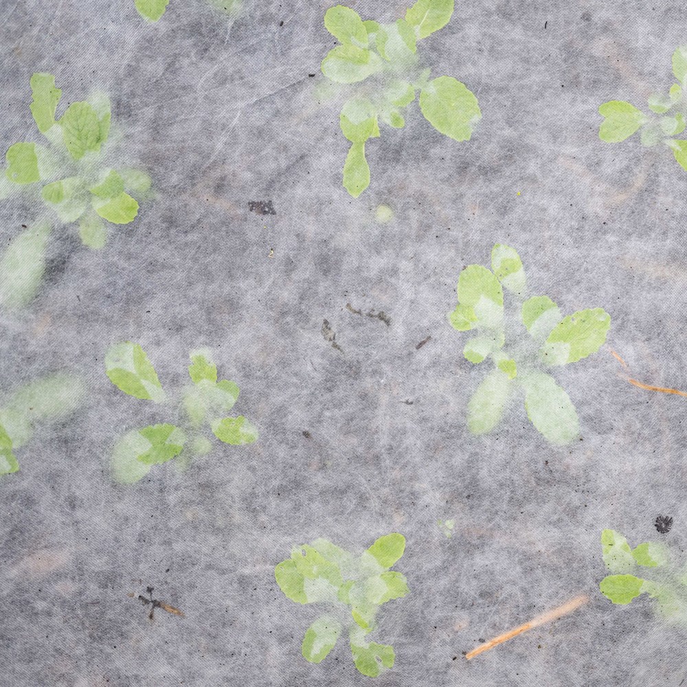 Biofleece plastic free plant fleece - 30gsm