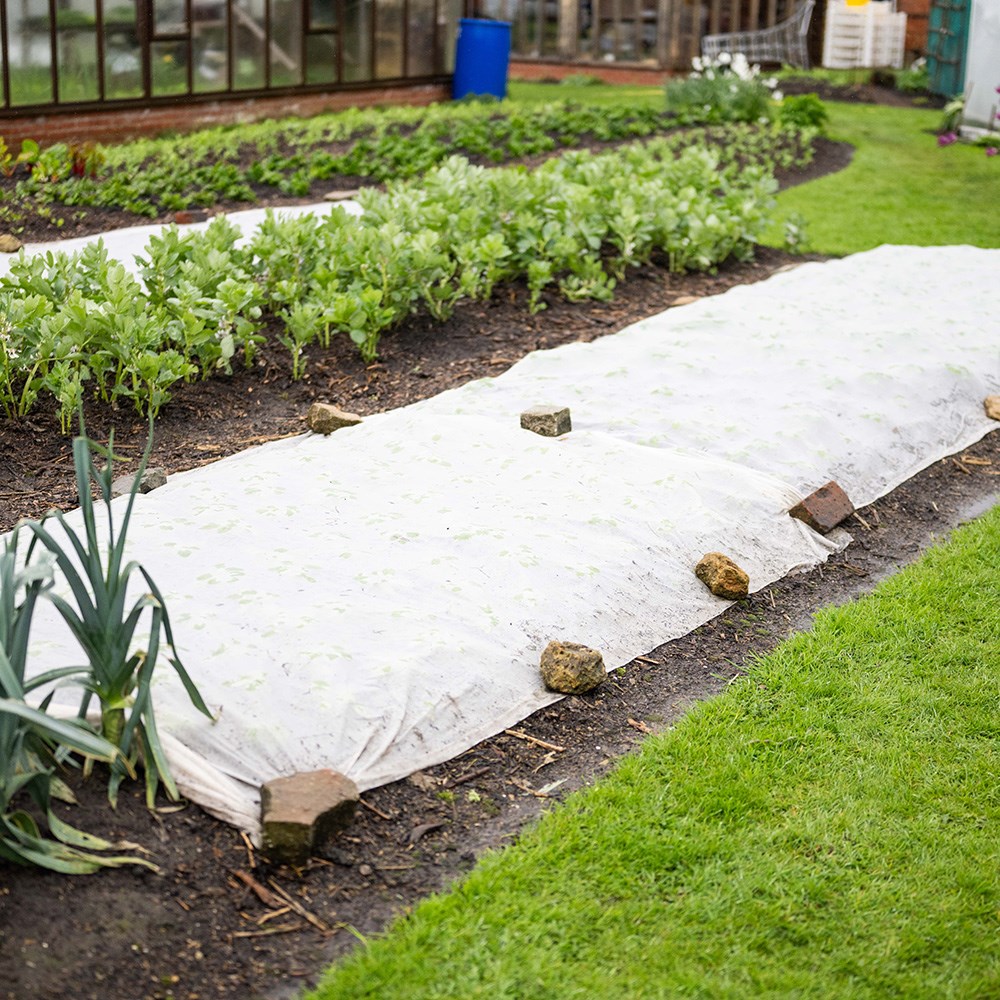 Biofleece plastic free plant fleece - 30gsm