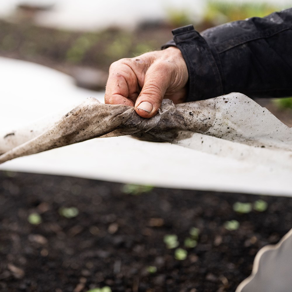 Biofleece plastic free plant fleece - 30gsm