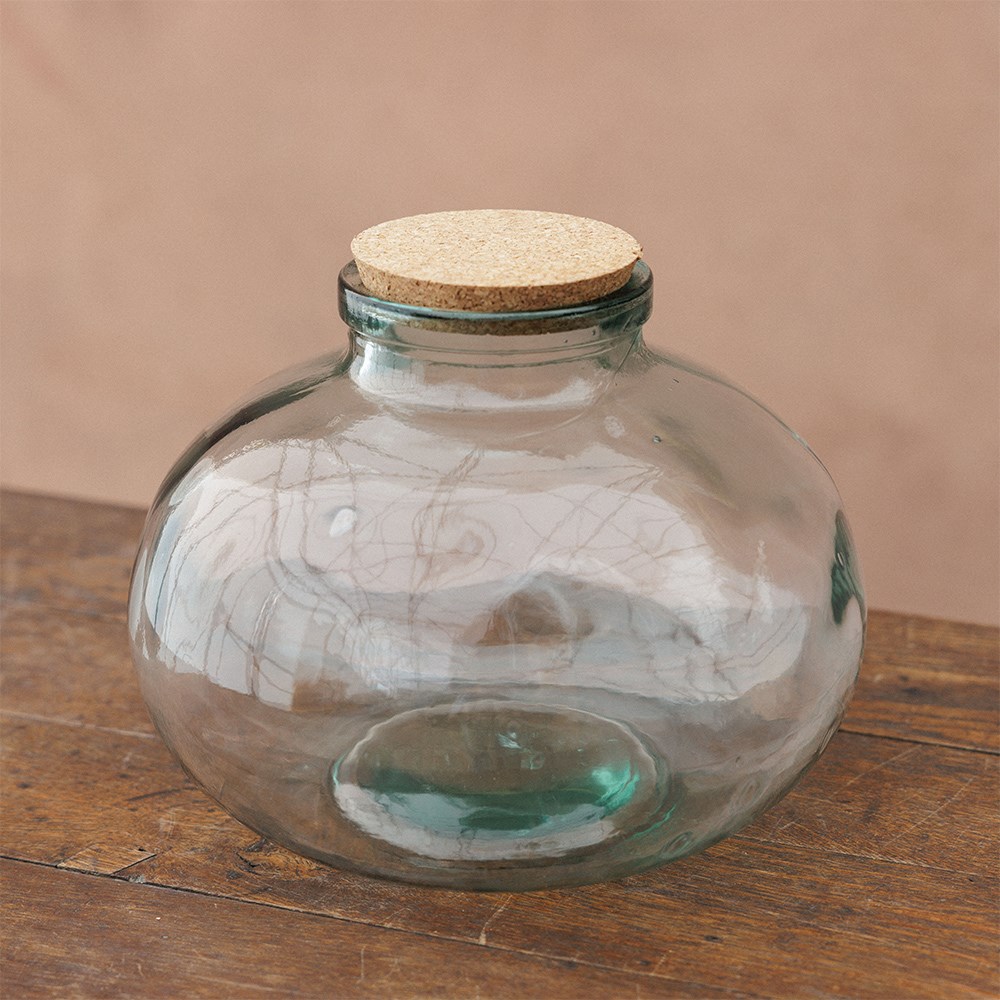 Low plant terrarium bottle