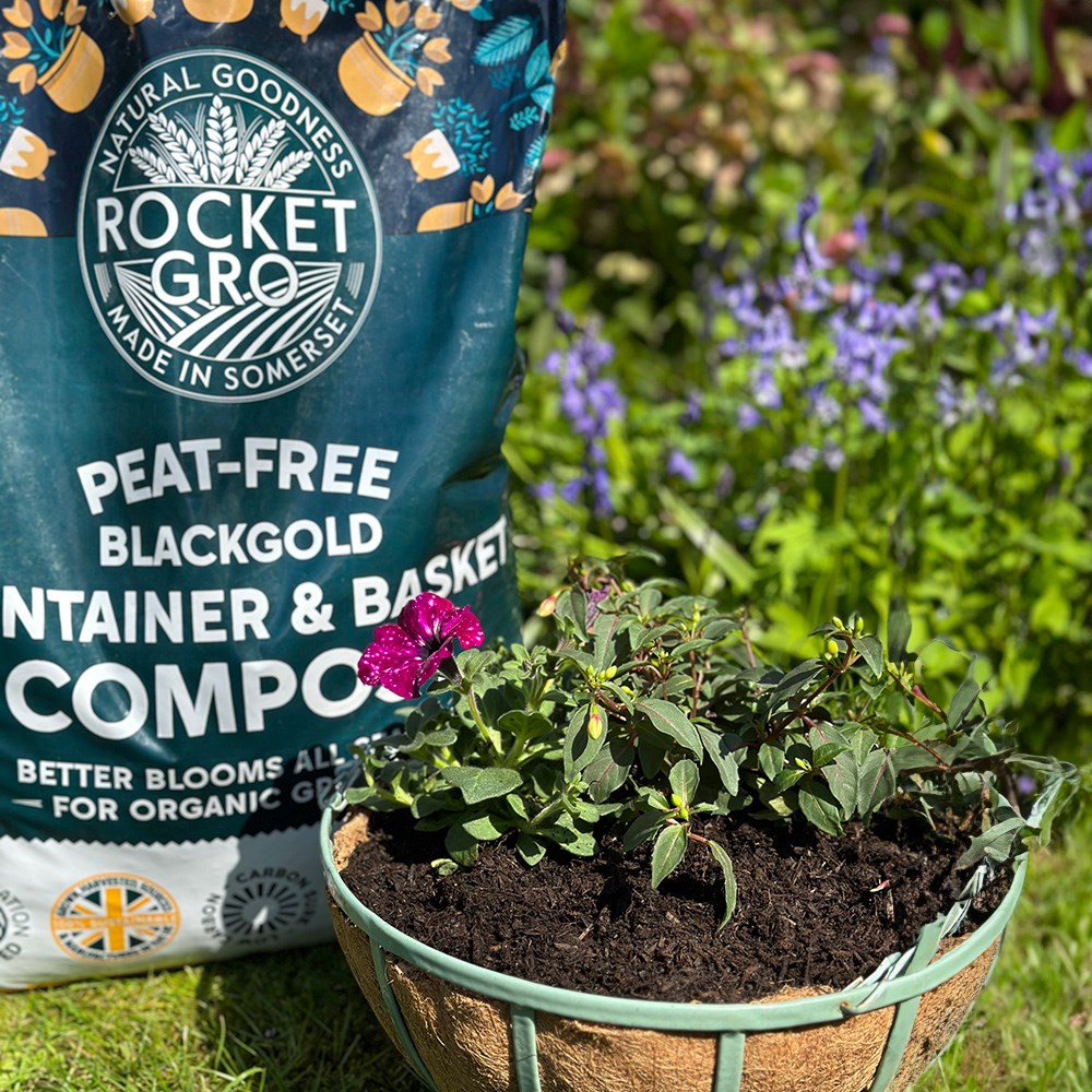 RocketGro container and basket compost