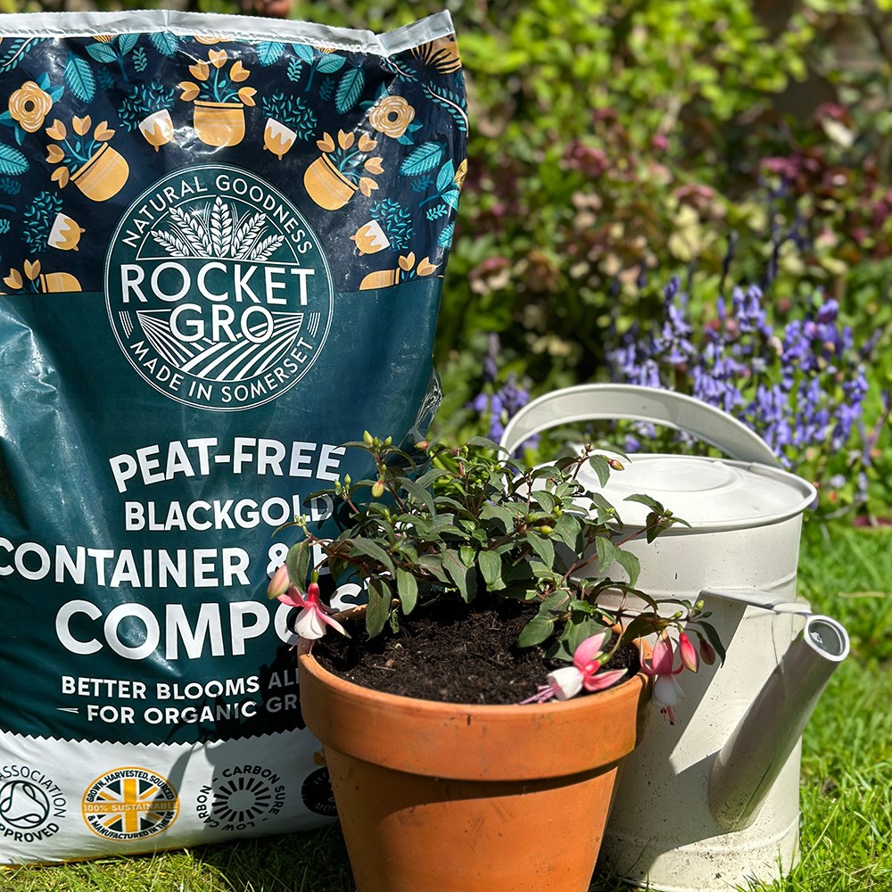 RocketGro container and basket compost