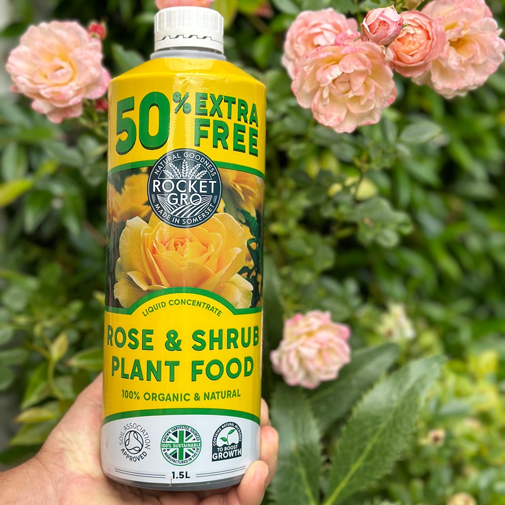 Organic rose feed
