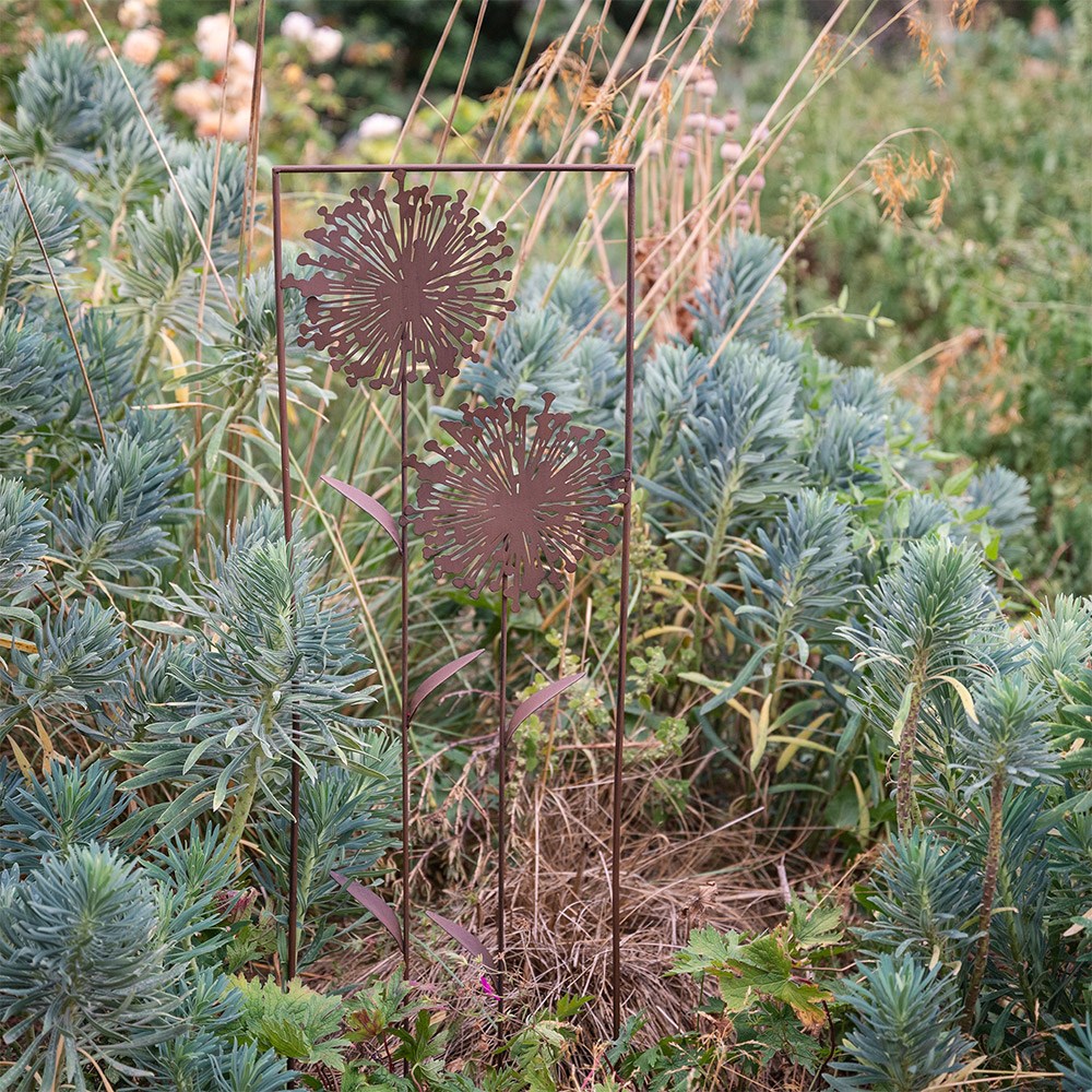 Allium trellis - rust