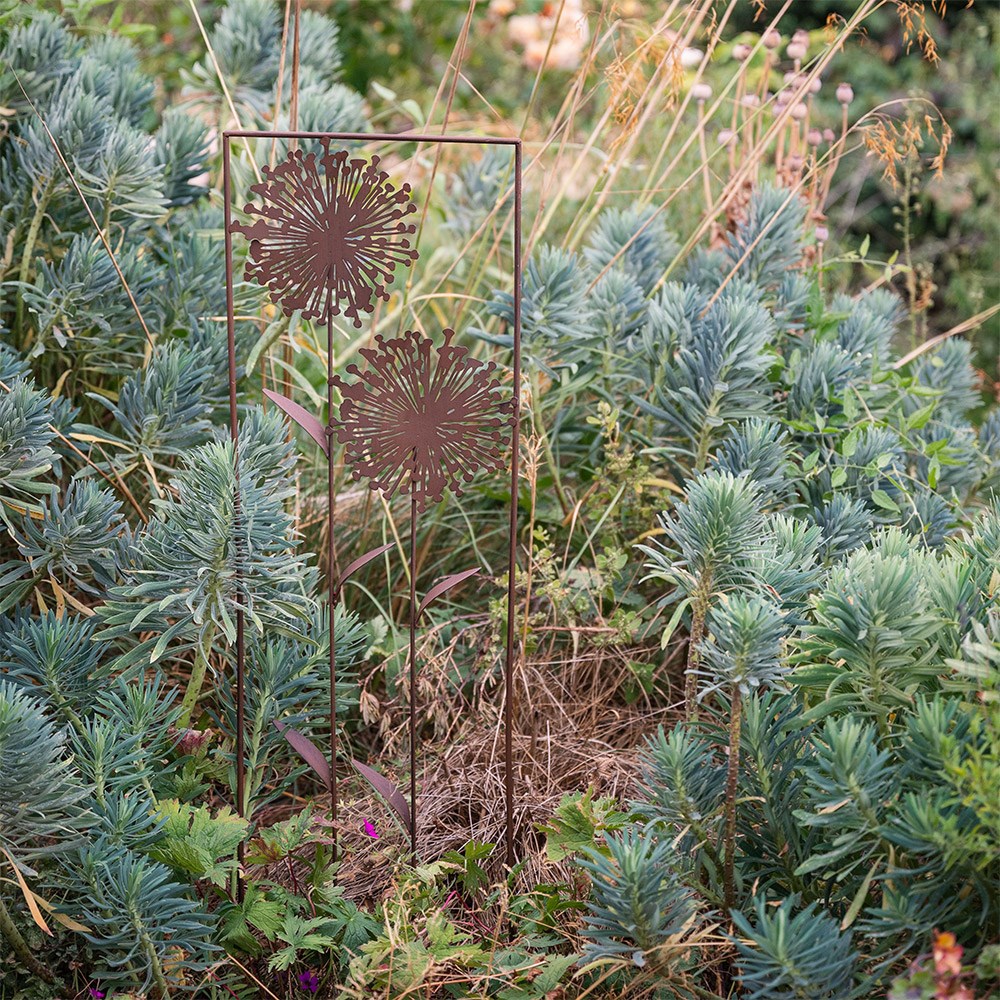 Allium trellis - rust