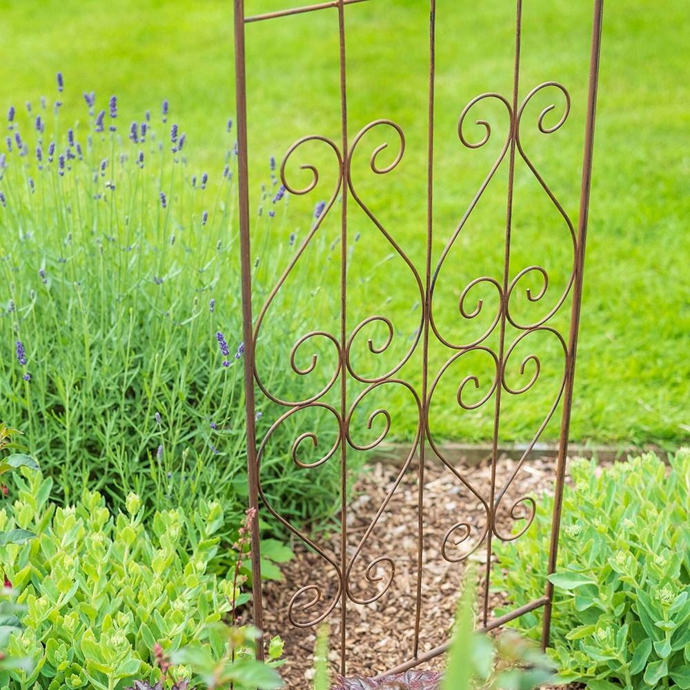 Arched fleur-de-lys trellis plant support - rust