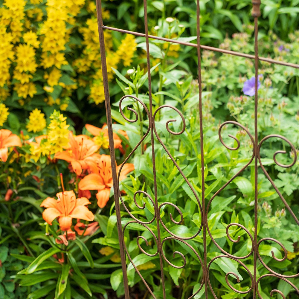 Arched fleur-de-lys trellis plant support - rust