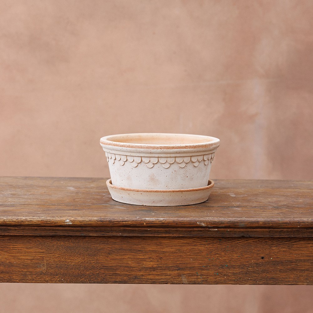 Bergs scalloped tapered plant pot & saucer - terracotta