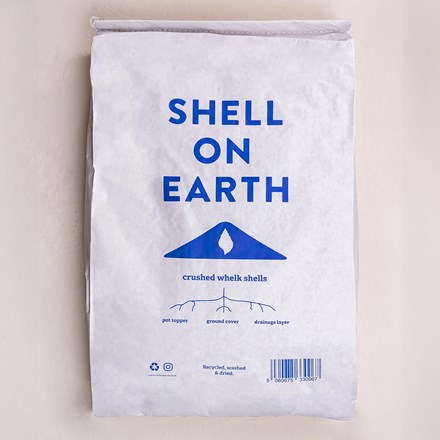 Shell on Earth crushed whelk shells