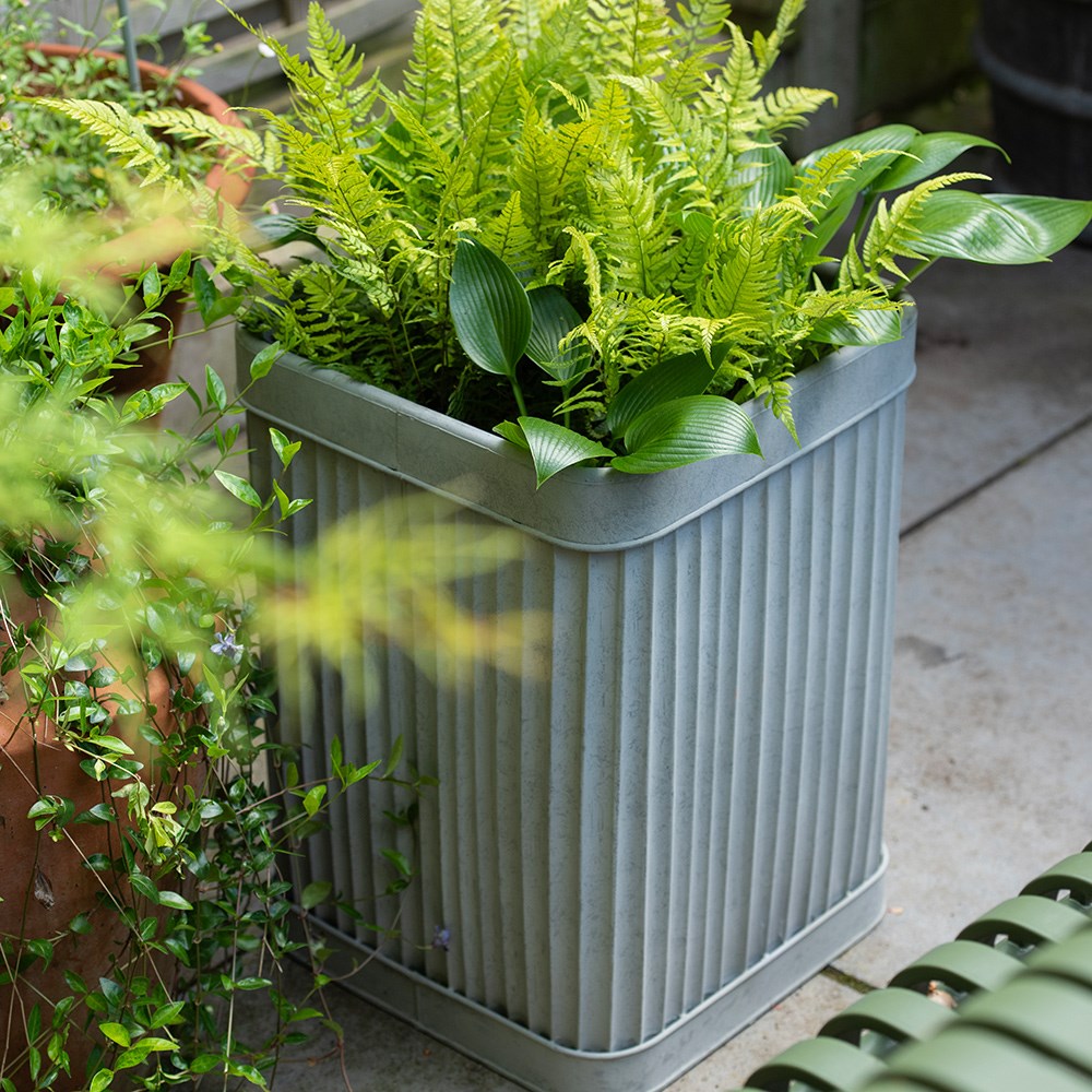 Tall square dolly pot - aged zinc
