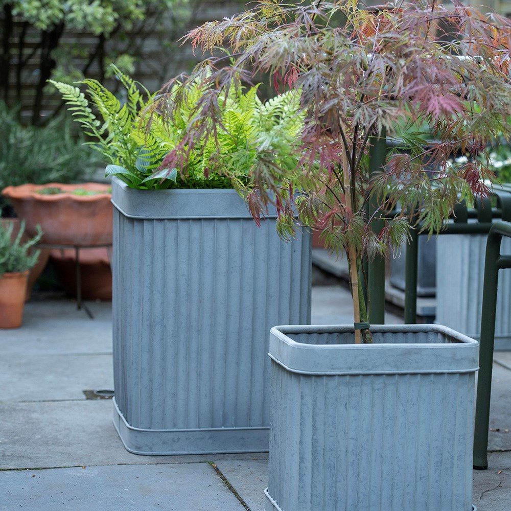 Tall square dolly pot - aged zinc