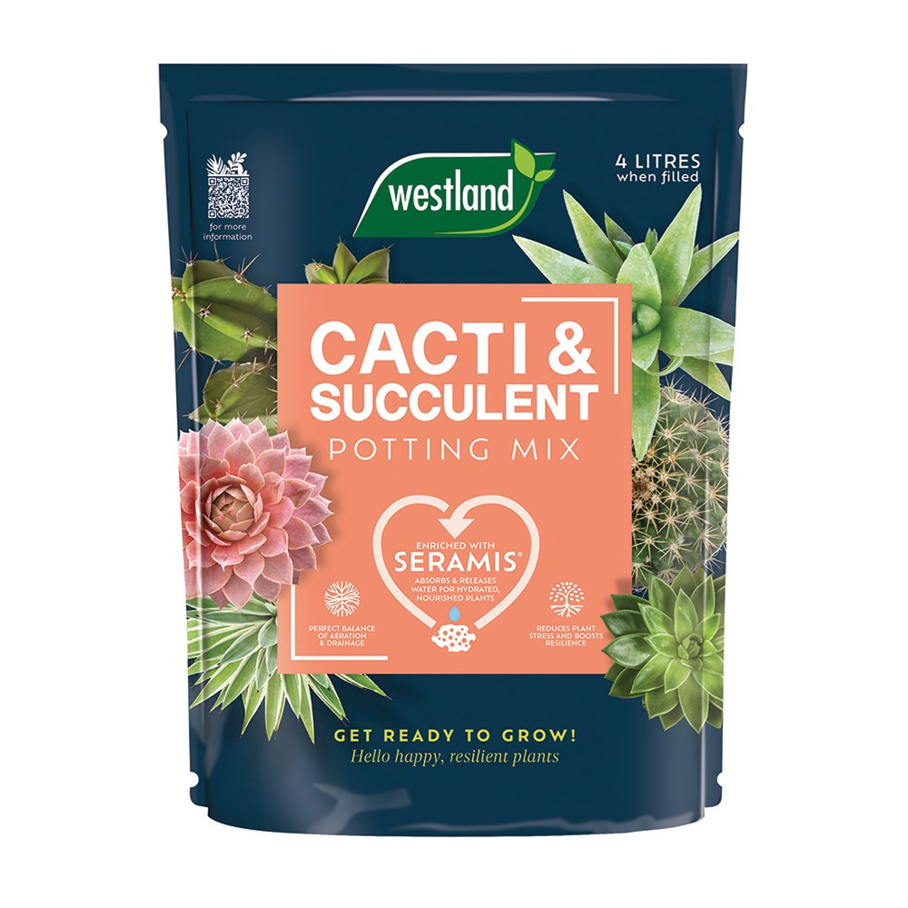 Cacti and succulent potting mix