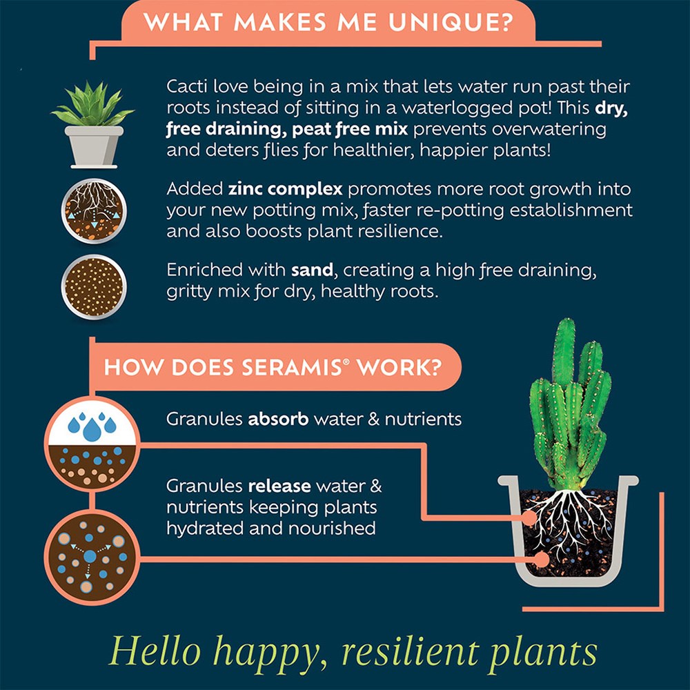 Cacti and succulent potting mix