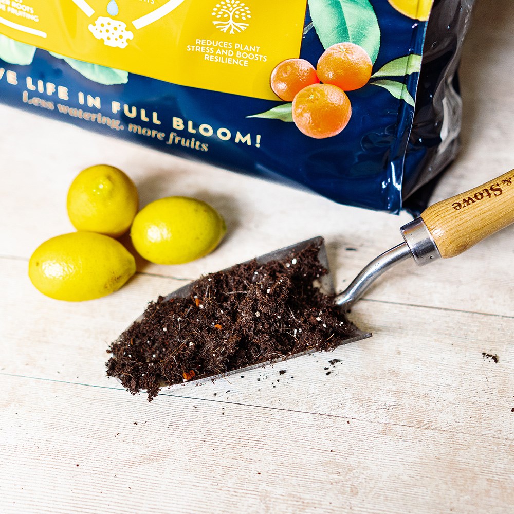 Citrus potting mix