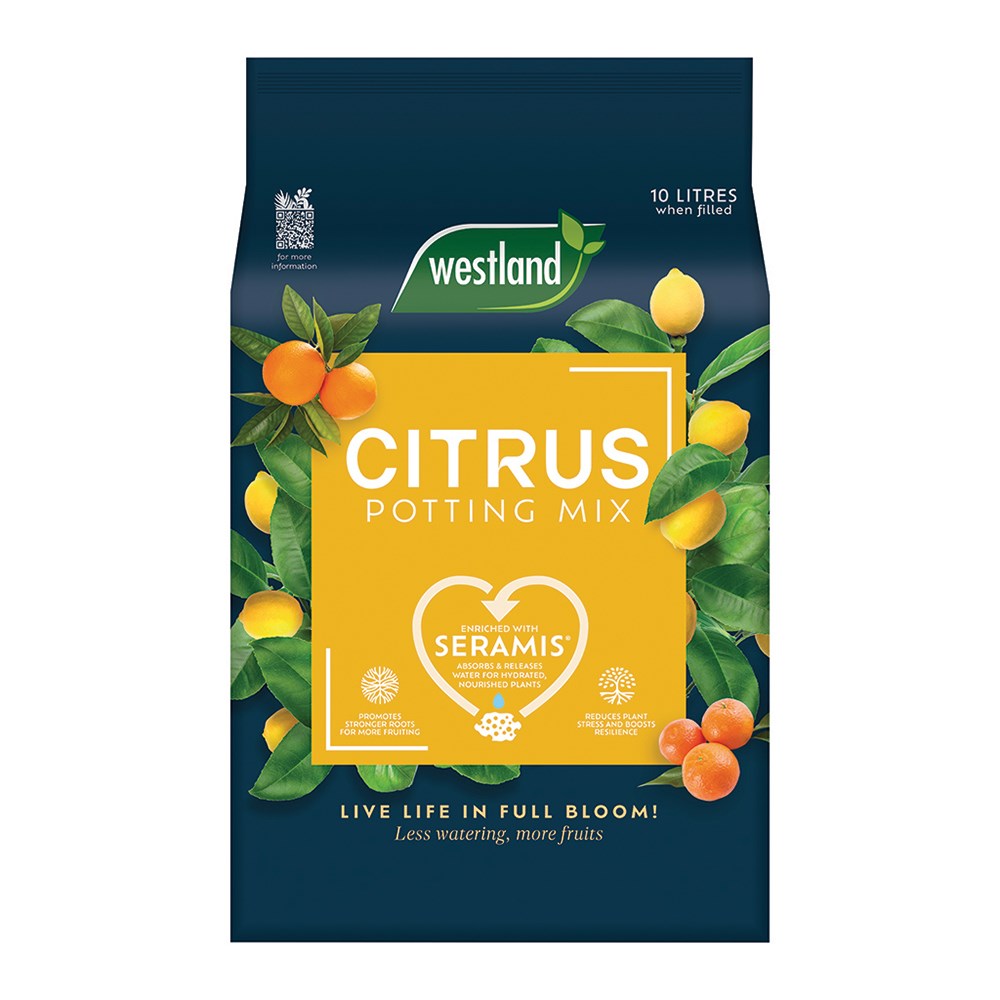 Citrus potting mix