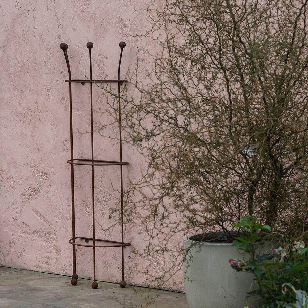 Wall cage rose plant support - rust