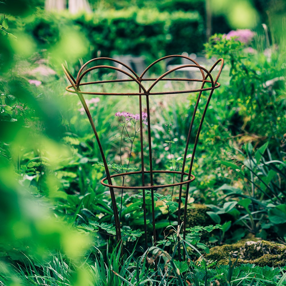 Extra large tulip / peony plant support - rust