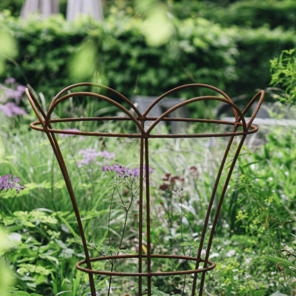 Extra large tulip / peony plant support - rust