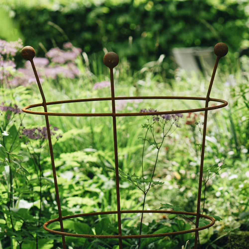 Extra large peony plant support - rust