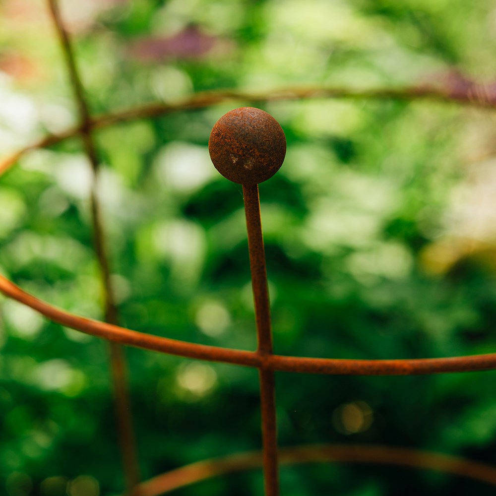 Extra large peony plant support - rust