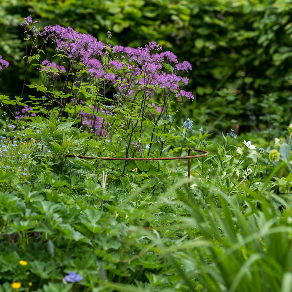 Circular tall border support - rust
