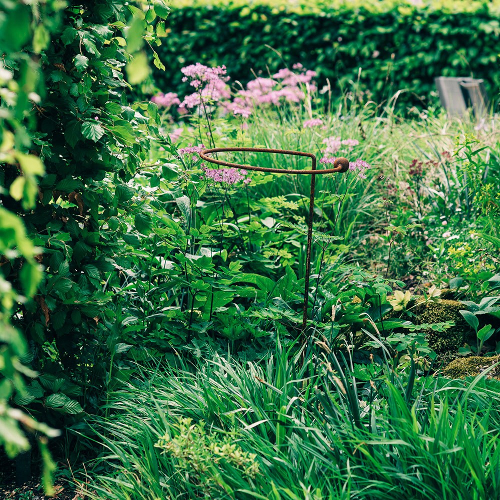 Single stem allium plant support - rust