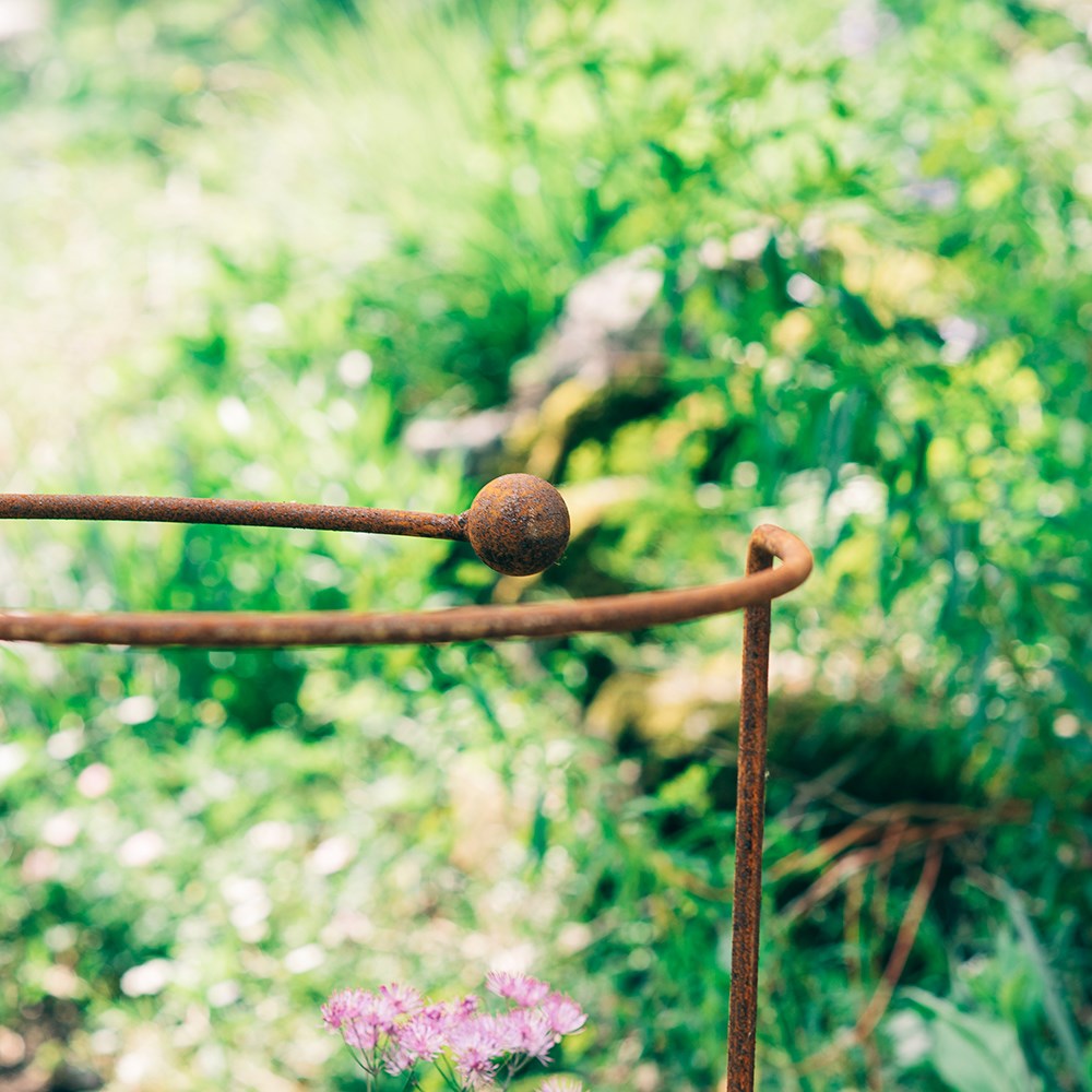 Single stem allium plant support - rust