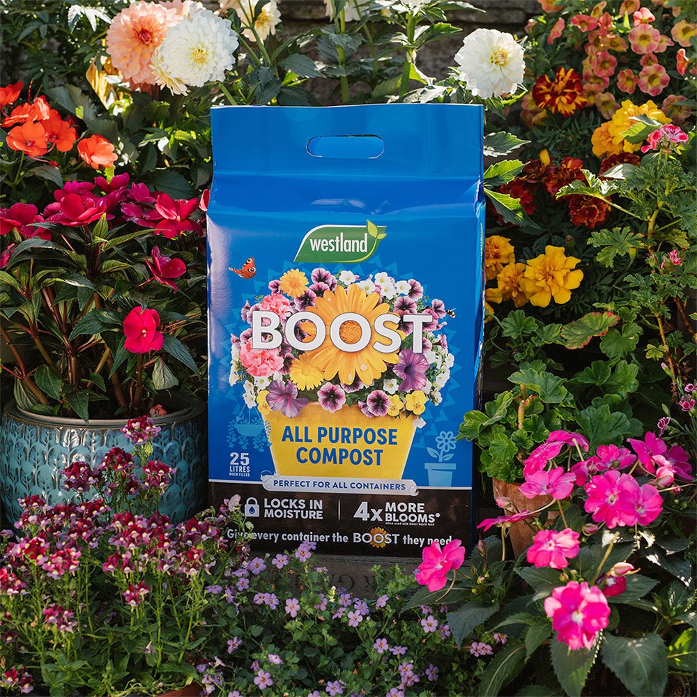 Boost peat-free all-purpose compost