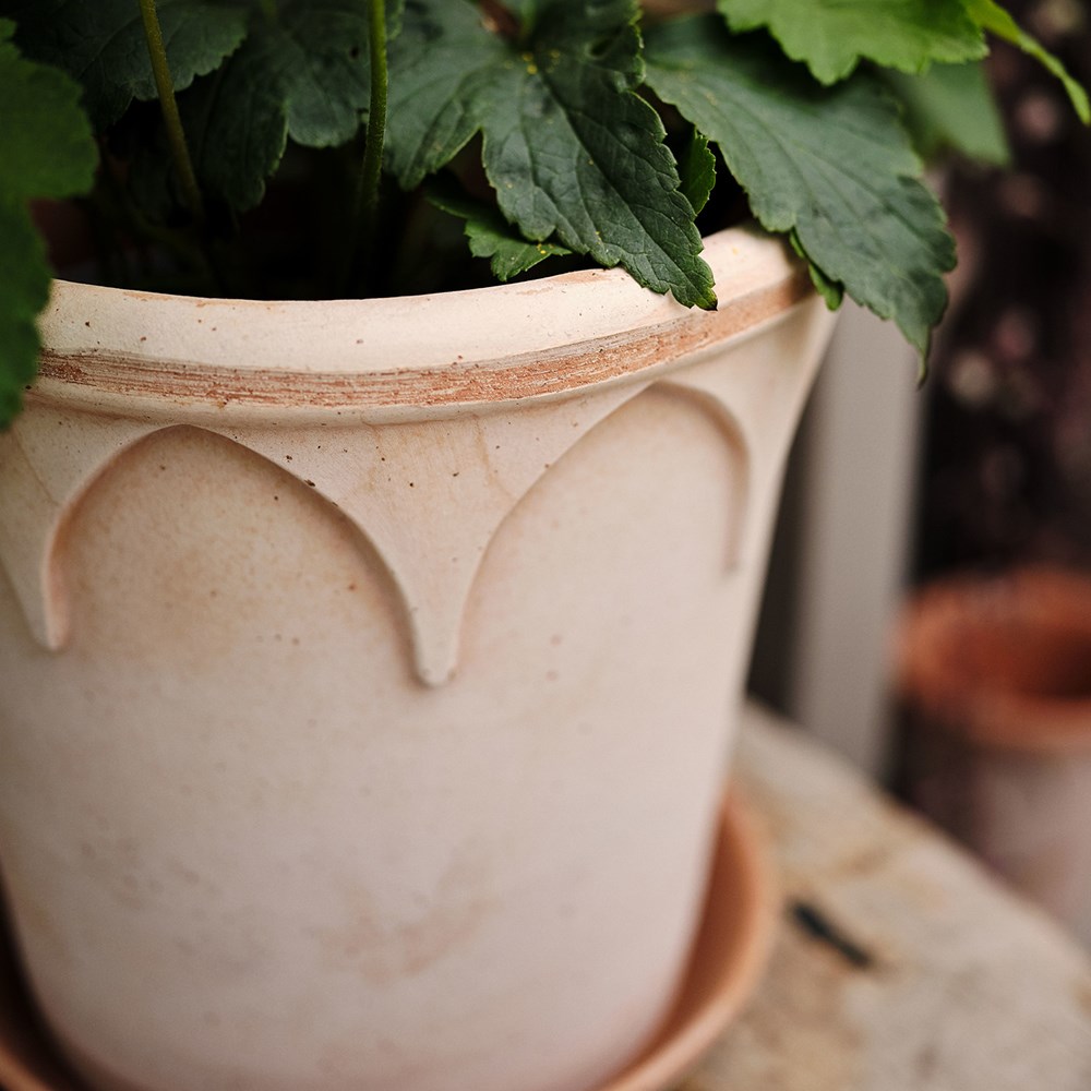Bergs gothic arch design tapered plant pot with saucer - terracotta