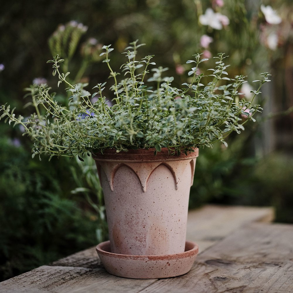 Bergs gothic arch design tapered plant pot with saucer - terracotta