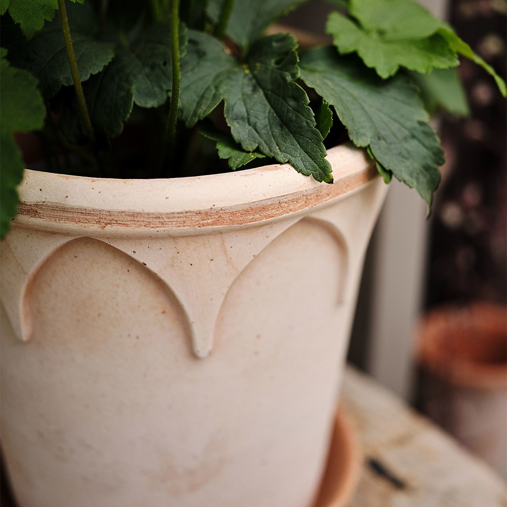 Bergs gothic arch design tapered plant pot with saucer - terracotta