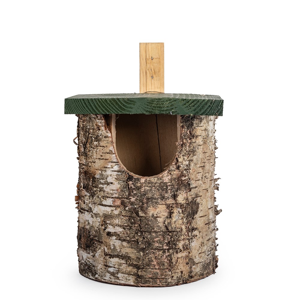 Natural birch log bird nest box - open