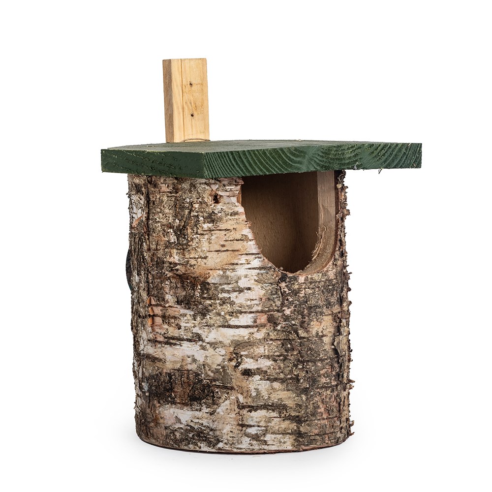 Natural birch log bird nest box - open