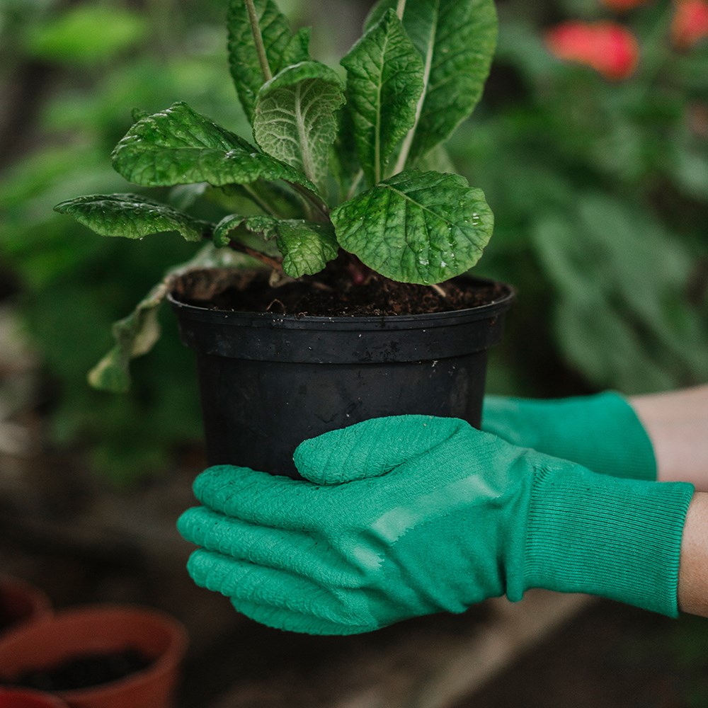 Ultimate all round gardening gloves - green