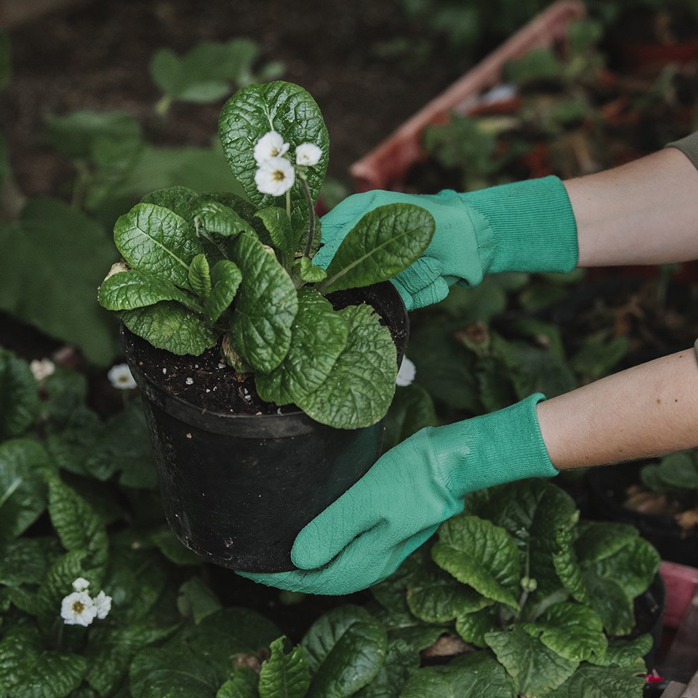 Ultimate all round gardening gloves - green