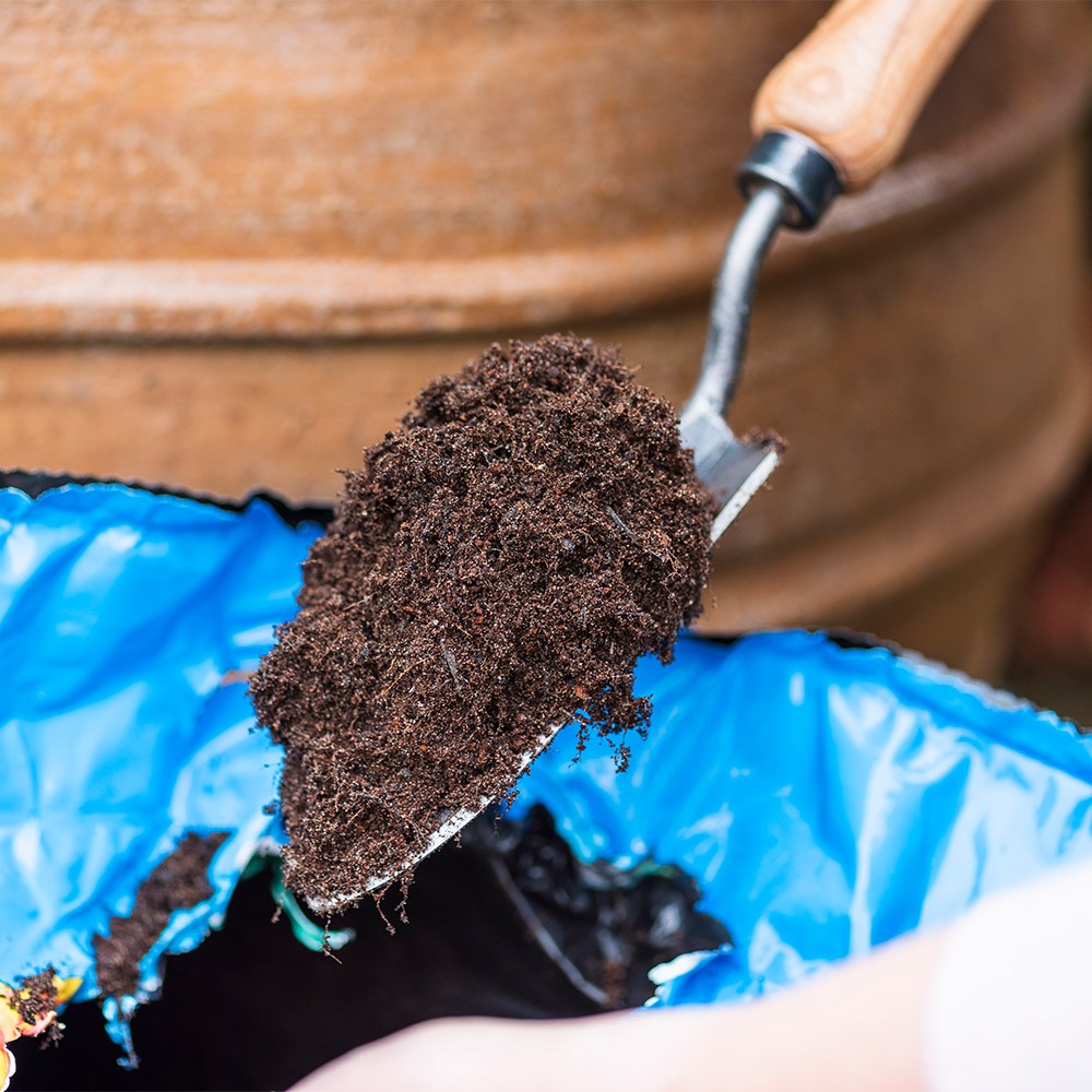 Peat-free multi-purpose compost with John Innes