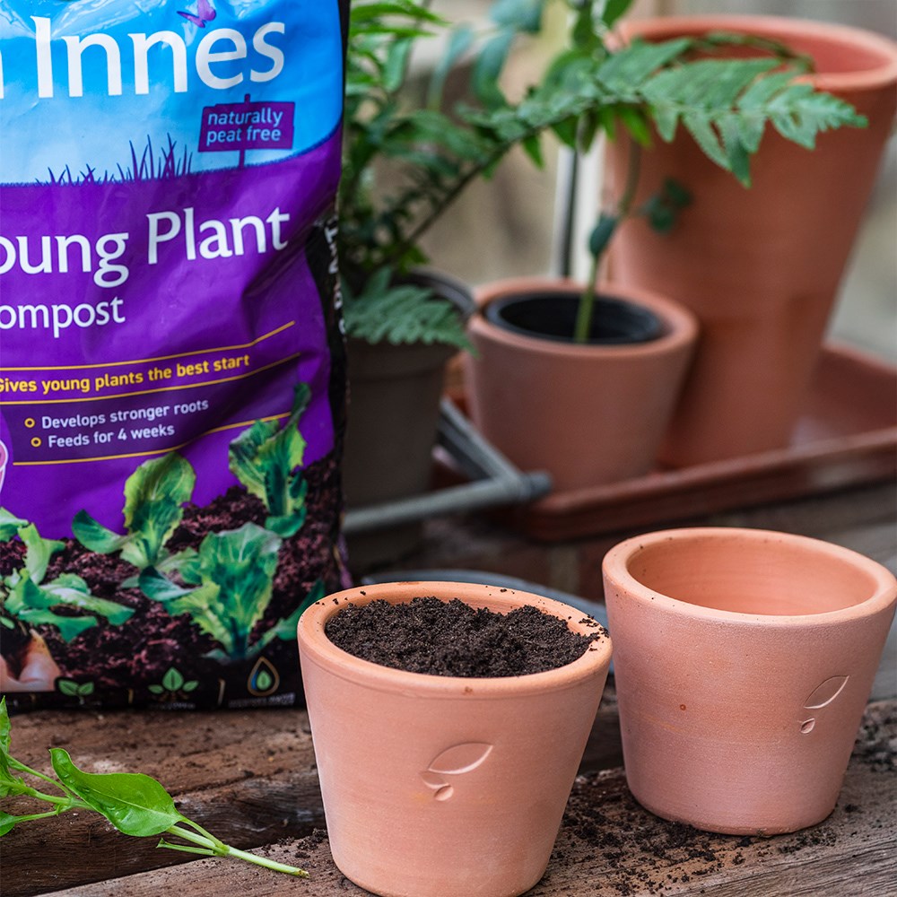Peat-free young plant compost with John Innes no.1 