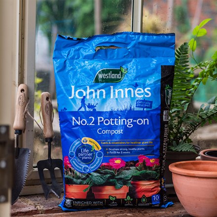 Peat-free potting on compost with John Innes no.2