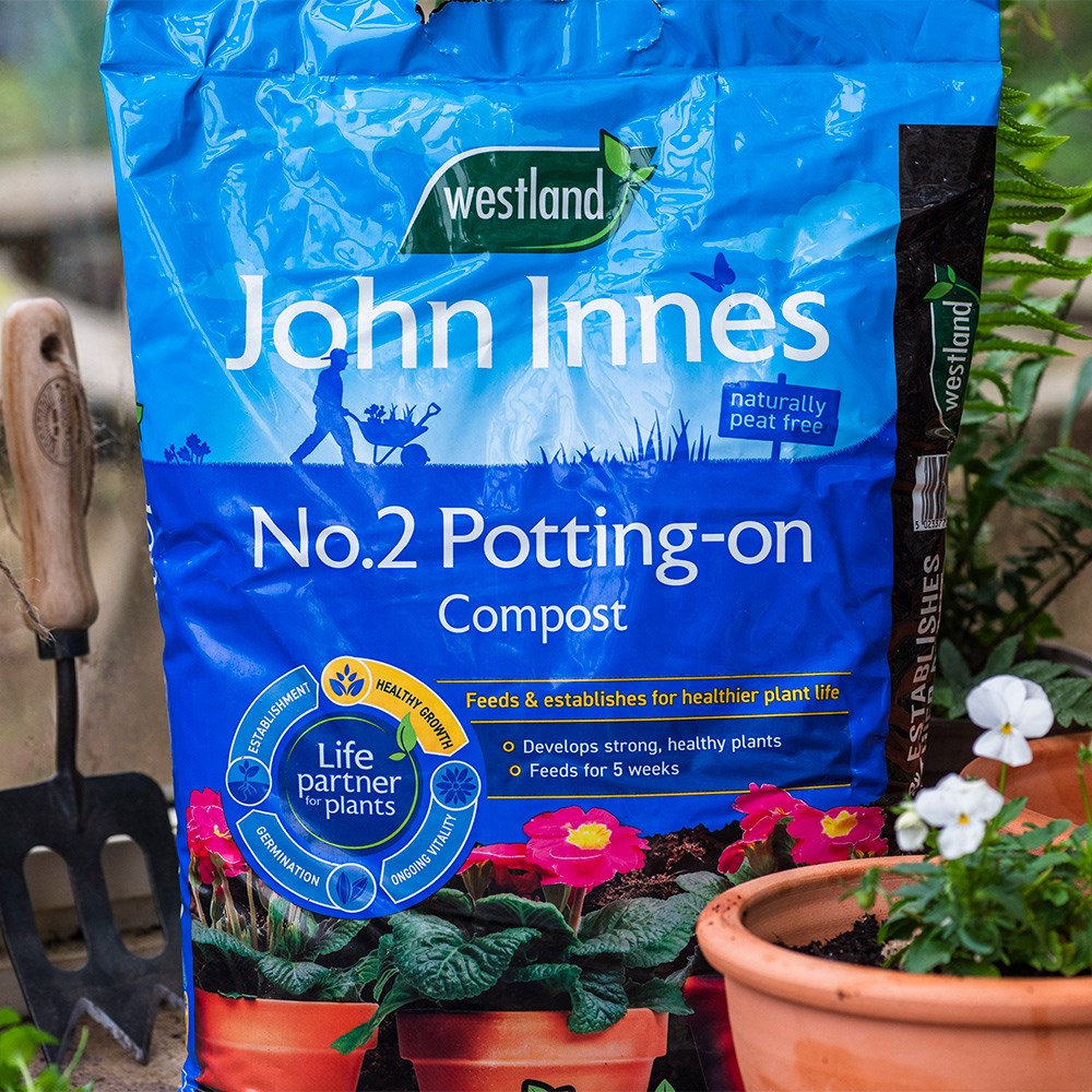 Peat-free potting on compost with John Innes no.2