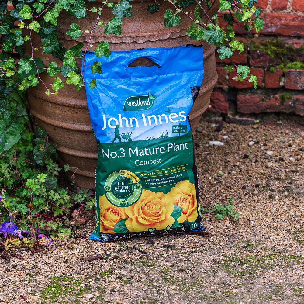 Peat-free mature plant compost with John Innes no.3