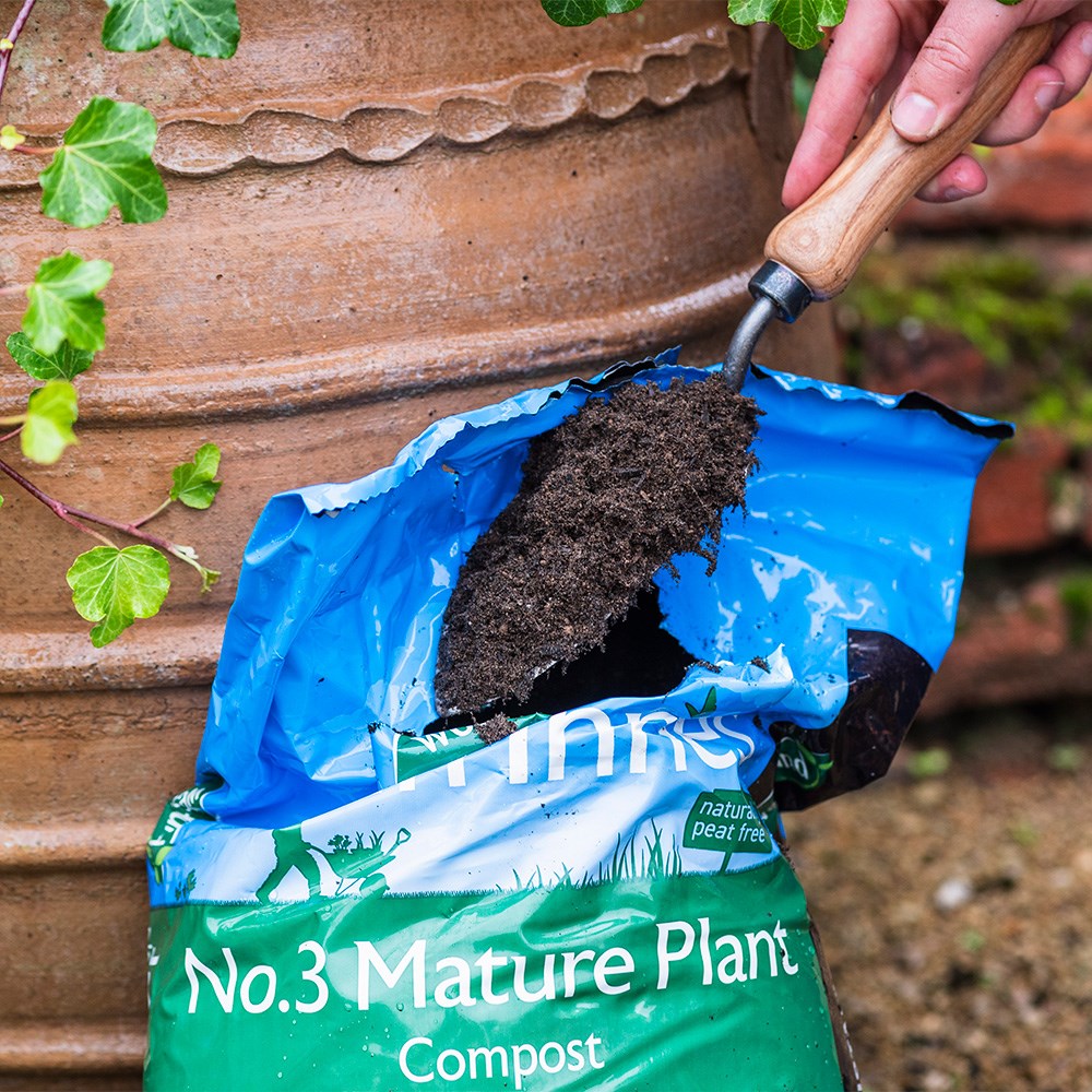 Peat-free mature plant compost with John Innes no.3