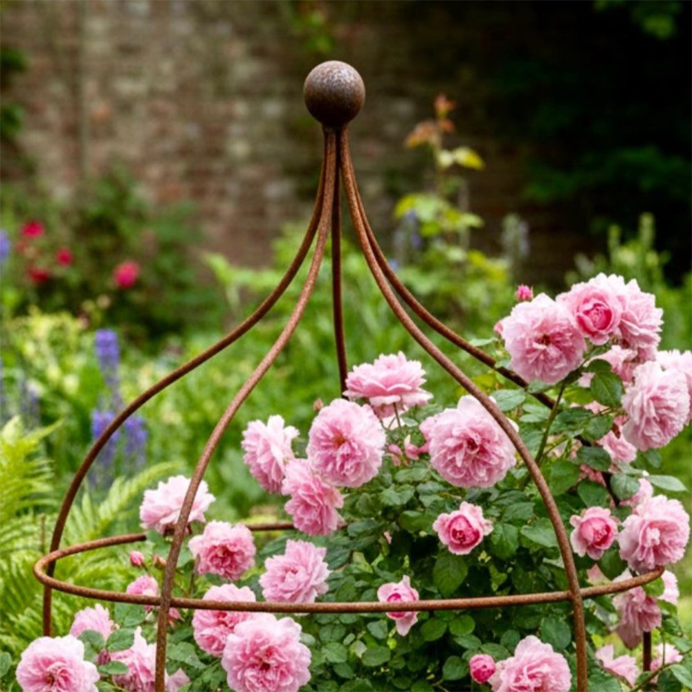 Ball top plant support - rust