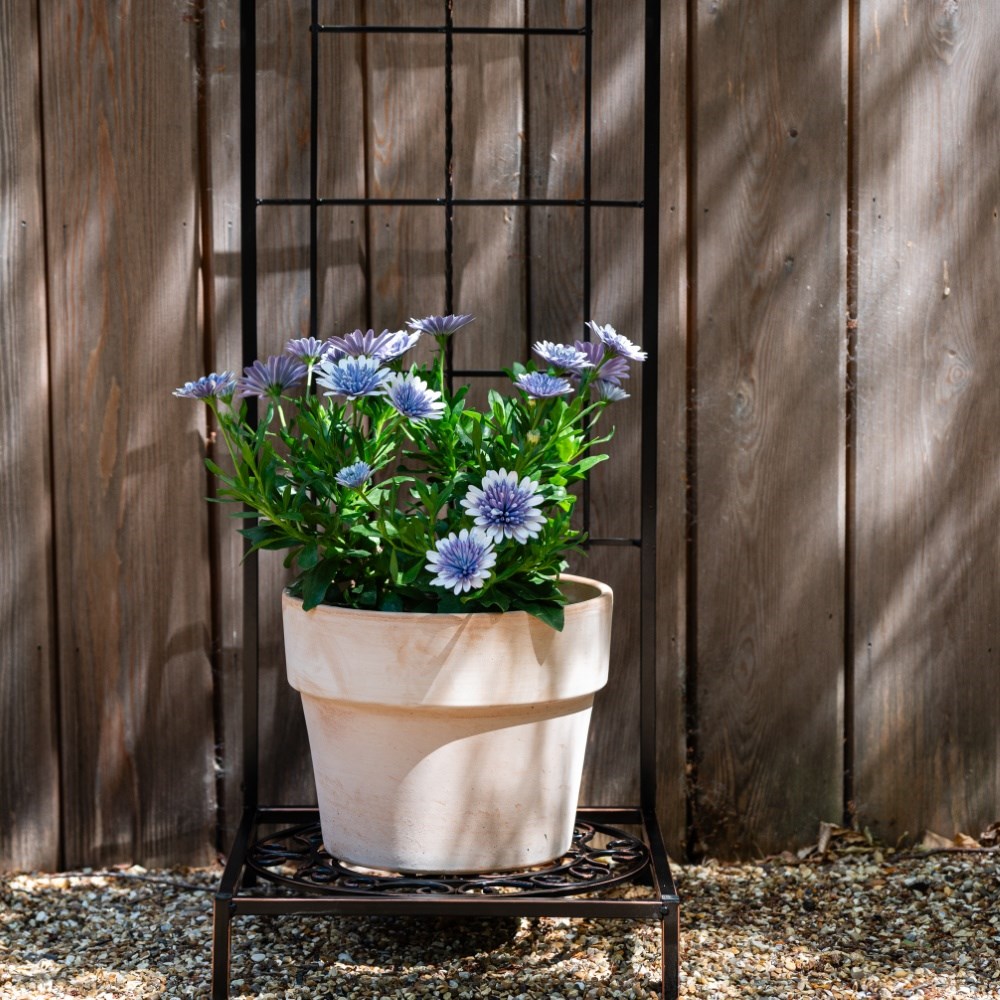 Rustica Italia pot stand with trellis - antique bronze
